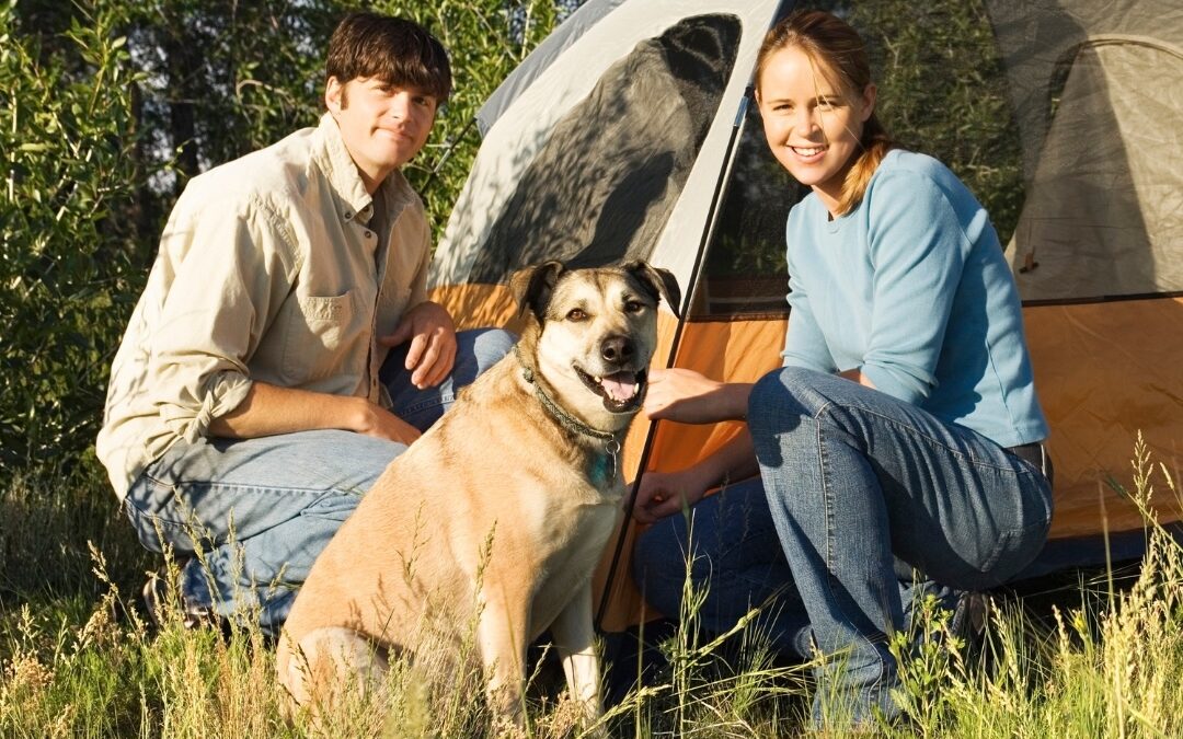 Camping le Tiradou avec chien accepté