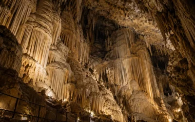 Gouffre de Proumeyssac : descendre à 52 m en Périgord Noir